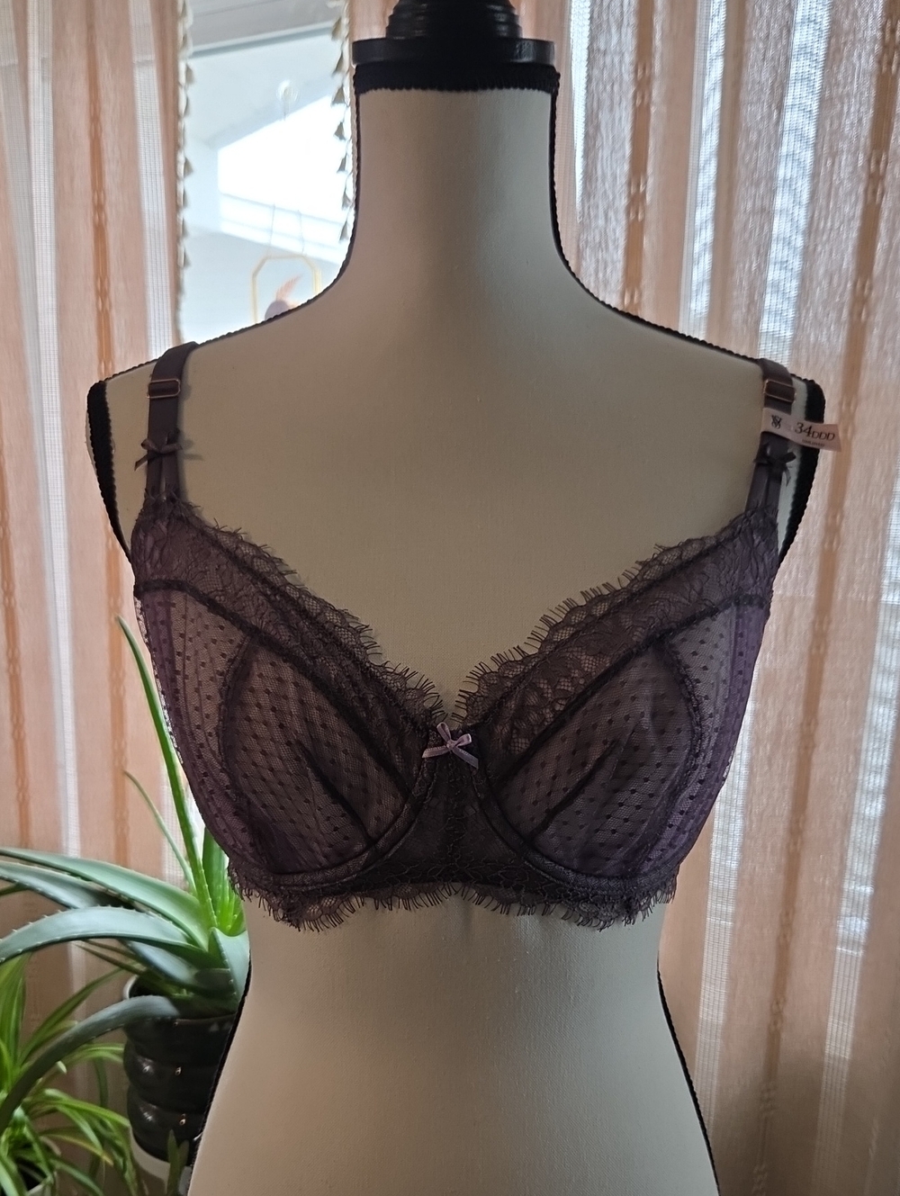 Victoria's Secret Plum Sheer Lace Underwire Bra